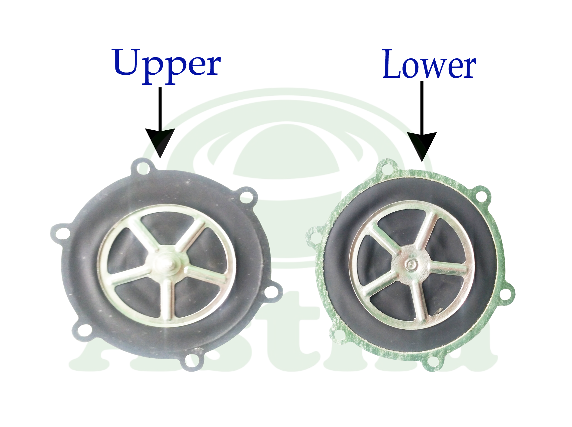 Diaphragms Big 3W TVS King 4St N/M (Vanaz)